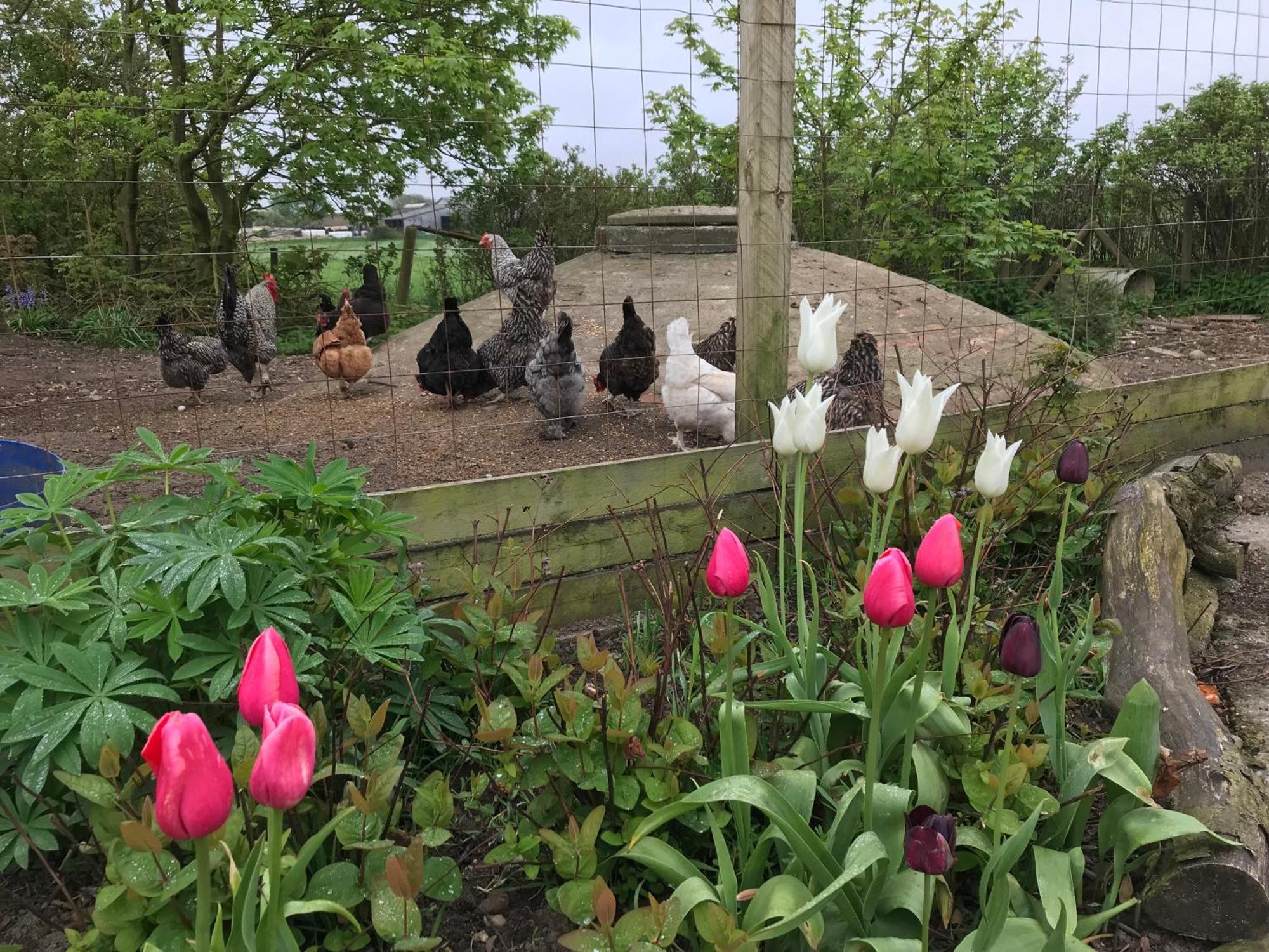 Nygaard B&B Nørre Nebel 外观 照片